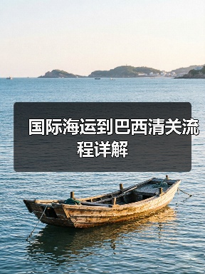 国际海运到巴西清关流程详解(图2) 国际海运到巴西清关流程详解(图2)