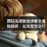 国际海运散货运输全流程解析:从准备到交付全攻略(图4) 国际海运散货运输全流程解析:从准备到交付全攻略(图4)