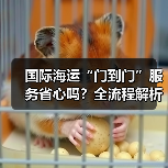 国际海运“门到门”服务省心吗?全流程解析(图2) 国际海运“门到门”服务省心吗?全流程解析(图2)