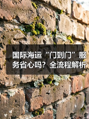 国际海运“门到门”服务省心吗?全流程解析(图3) 国际海运“门到门”服务省心吗?全流程解析(图3)