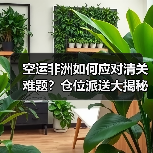 空运非洲如何应对清关难题？仓位派送大揭秘（图3）
