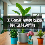 国际空运清关失败原因解析及解决策略（图4）