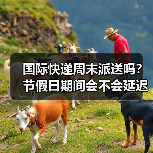 国际快递周末派送吗？节假日期间会不会延迟？（图3）