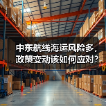 中东航线海运风险多，政策变动该如何应对？（图2）