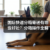 国际快递分箱寄送有哪些好处？分箱操作全解析（图1）