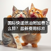 国际快递燃油附加费怎么算？最新费用标准（图3）