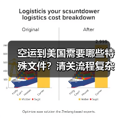 空运到美国需要哪些特殊文件？清关流程复杂吗（图3）