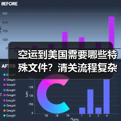 空运到美国需要哪些特殊文件？清关流程复杂吗（图4）