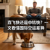 直飞快还是中转快？一文看懂国际空运差异（图2）