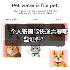 个人寄国际快递需要哪些证件？（图4）