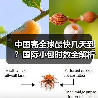 中国寄全球最快几天到？国际小包时效全解析（图2）