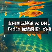 本网国际快递 vs DHL FedEx 优势解析：价格、渠道、操作全对比（图4）