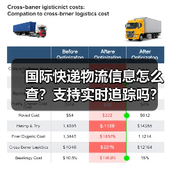 国际快递物流信息怎么查?支持实时追踪吗?(图1) 国际快递物流信息怎么查?支持实时追踪吗?(图1)