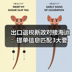 出口退税新政对接海运：提单信息匹配3大要点需注意？（图4）
