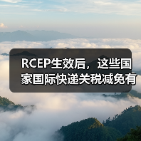 RCEP生效后，这些国家国际快递关税减免有哪些？（图3）