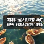 国际快递货物破损如何理赔(现场取证的正确步骤)(图2) 国际快递货物破损如何理赔(现场取证的正确步骤)(图2)