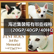 海运集装箱有哪些规格(20GP/40GP/40HQ/45HQ)(跨境电商卖家怎么选)(图1) 海运集装箱有哪些规格(20GP/40GP/40HQ/45HQ)(跨境电商卖家怎么选)(图1)