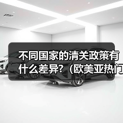 不同国家的清关政策有什么差异?(欧美亚热门国家清关要点)(图2) 不同国家的清关政策有什么差异?(欧美亚热门国家清关要点)(图2)