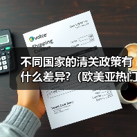 不同国家的清关政策有什么差异?(欧美亚热门国家清关要点)(图3) 不同国家的清关政策有什么差异?(欧美亚热门国家清关要点)(图3)