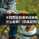 不同国家的清关政策有什么差异?(欧美亚热门国家清关要点)(图1) 不同国家的清关政策有什么差异?(欧美亚热门国家清关要点)(图1)