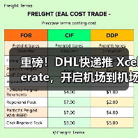 重磅!DHL快递推 Xcelerate,开启机场到机场货运高速时代(国际快递新闻资讯)(图2) 重磅!DHL快递推 Xcelerate,开启机场到机场货运高速时代(国际快递新闻资讯)(图2)