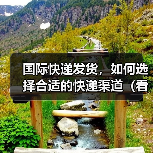 国际快递发货,如何选择合适的快递渠道(看这几点就够了)(图4) 国际快递发货,如何选择合适的快递渠道(看这几点就够了)(图4)