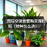 国际空运需要购买保险吗(险种怎么选)(图2) 国际空运需要购买保险吗(险种怎么选)(图2)
