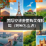 国际空运需要购买保险吗(险种怎么选)(图3) 国际空运需要购买保险吗(险种怎么选)(图3)