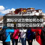 国际空运货物如何办理保险（国际空运投保流程及理赔须知）（图2）