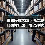墨西哥最大国际海运港口拥堵严重,延误持续升级(国际海运新闻资讯)(图3) 墨西哥最大国际海运港口拥堵严重,延误持续升级(国际海运新闻资讯)(图3)