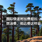 国际快递附加费避坑:燃油费、偏远费这样省(图3) 国际快递附加费避坑:燃油费、偏远费这样省(图3)