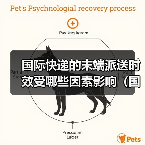 国际快递的末端派送时效受哪些因素影响(国际快递干货知识分享)(图4) 国际快递的末端派送时效受哪些因素影响(国际快递干货知识分享)(图4)