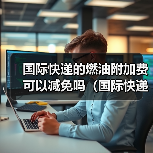 国际快递的燃油附加费可以减免吗(国际快递干货知识分享)(图3) 国际快递的燃油附加费可以减免吗(国际快递干货知识分享)(图3)