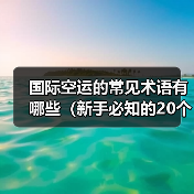 国际空运的常见术语有哪些(新手必知的20个专业词汇)(图4) 国际空运的常见术语有哪些(新手必知的20个专业词汇)(图4)