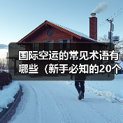 国际空运的常见术语有哪些(新手必知的20个专业词汇)(图3) 国际空运的常见术语有哪些(新手必知的20个专业词汇)(图3)