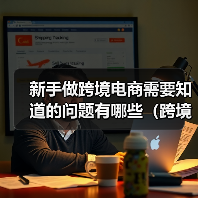 新手做跨境电商需要知道的问题有哪些（跨境电商新闻资讯）（图3）