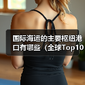 国际海运的主要枢纽港口有哪些(全球Top10港口特点解析)(图4) 国际海运的主要枢纽港口有哪些(全球Top10港口特点解析)(图4)