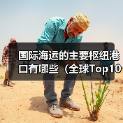 国际海运的主要枢纽港口有哪些(全球Top10港口特点解析)(图2) 国际海运的主要枢纽港口有哪些(全球Top10港口特点解析)(图2)