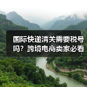 国际快递清关需要税号吗?跨境电商卖家必看指南(图2) 国际快递清关需要税号吗?跨境电商卖家必看指南(图2)