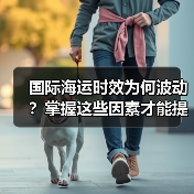 国际海运时效为何波动？掌握这些因素才能提升效率