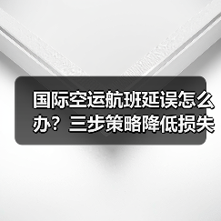 国际空运航班延误怎么办?三步策略降低损失(图3) 国际空运航班延误怎么办?三步策略降低损失(图3)