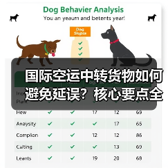 国际空运中转货物如何避免延误？核心要点全解析（图1）