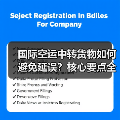 国际空运中转货物如何避免延误？核心要点全解析（图3）