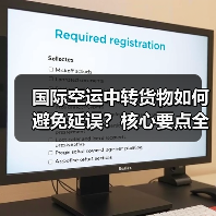 国际空运中转货物如何避免延误？核心要点全解析（图4）